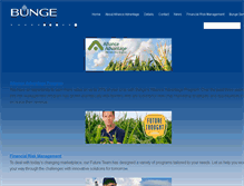 Tablet Screenshot of bungeallianceadvantage.com